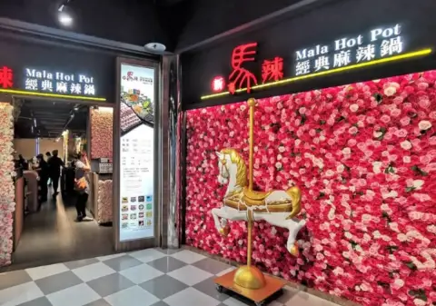 新馬辣經典麻辣鍋-高雄夢時代店