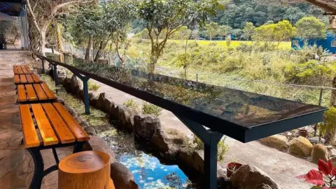 流水森林